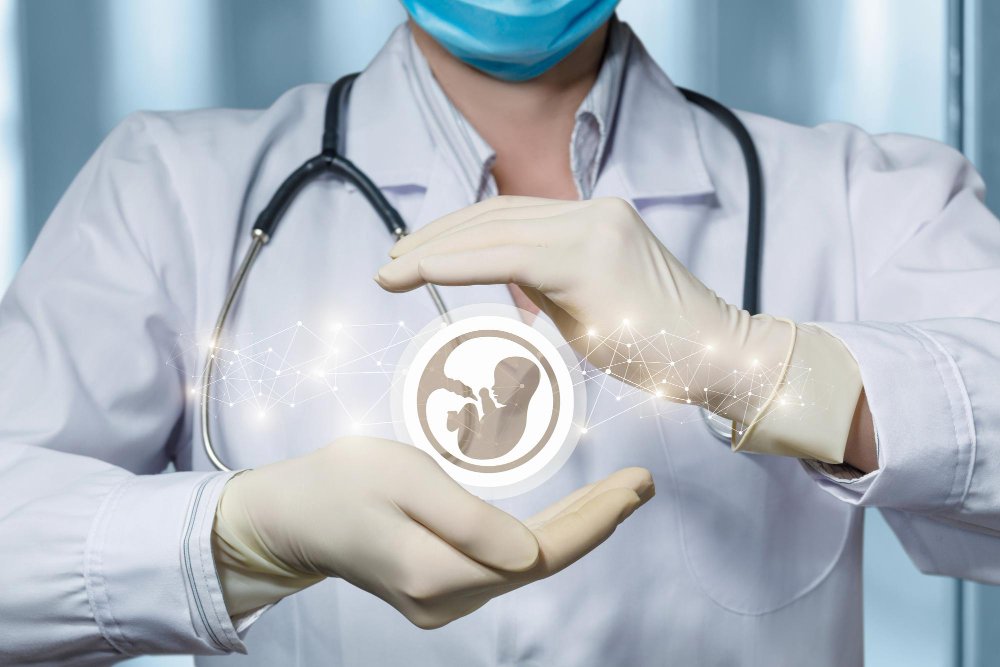 Embryology and andrology training